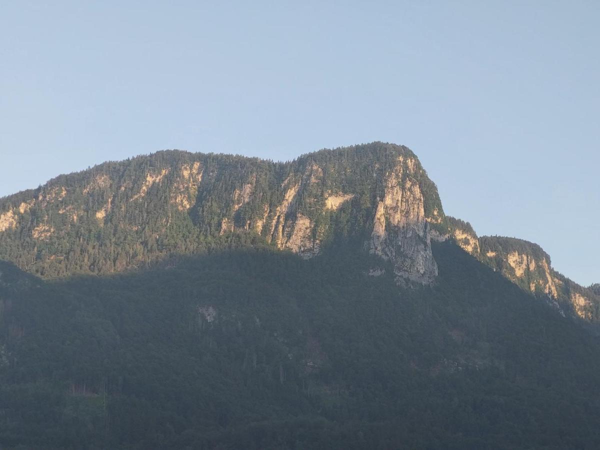 Apartmaji Pr'Pisk Bohinjska Bela Exterior photo